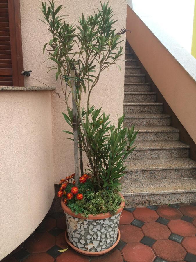 Apartmani Stefano Labin  Exterior photo